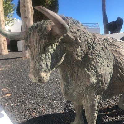 jackarm06's profile picture. 