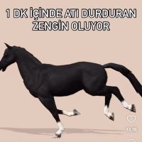 Emre Emre (@38b5b34349ed486) 's Twitter Profile