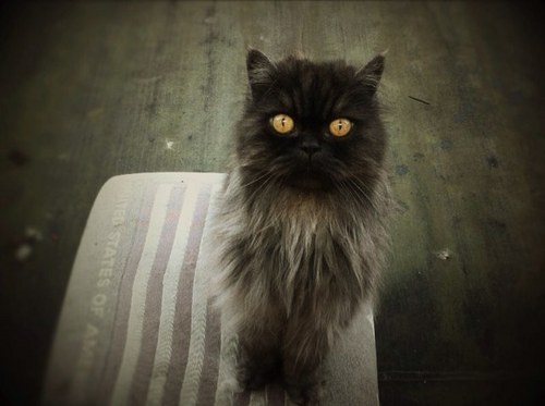 Marviska's profile picture. 