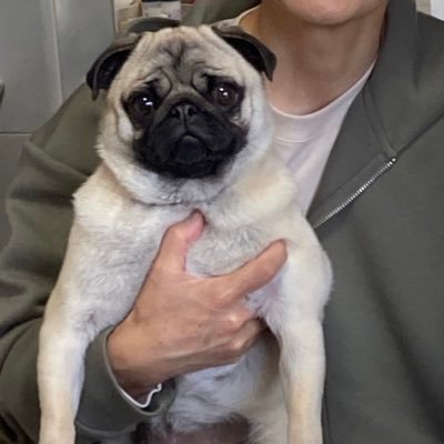 6FtddIIQWtFPCB4's profile picture. 犬の匂いフェチです。