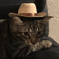 πͺ Jame πͺ (@lamesfranko) 's Twitter Profile