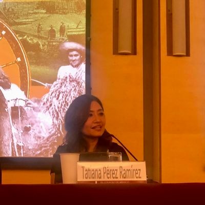 Historiadora | Politóloga | Oaxaqueña | Profa del @col_mexiquense | Historia regional | Zapatismo | Fan de las montañas, nadar, correr I 🐕💜💚🍉