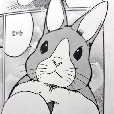 김톡기 묠さんのプロフィール画像
