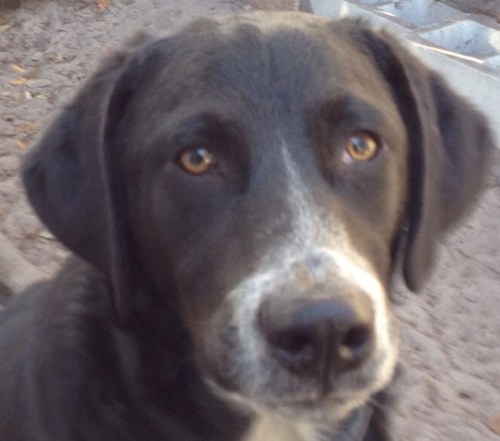 mjmayse's profile picture. 