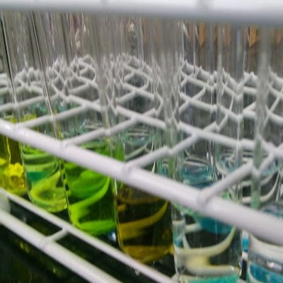 patsamg's profile picture. 