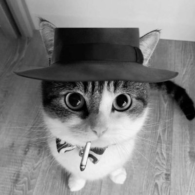 NotMayoSan's profile picture. Hobbyist 3D Modeler making Cyberpunk 2077 mods.