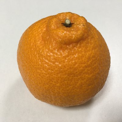 shiranui_deco's profile picture. 