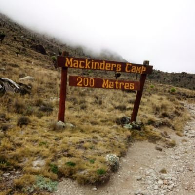 NabeMNabe's profile picture. yea