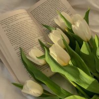 نِيف🌷. (@nevj75) 's Twitter Profile