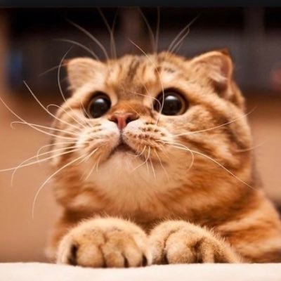 take2529855's profile picture. 