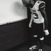 Jailyn Gibbons (@jai_g32) Twitter profile photo Jailyn Gibbons (@jai_g32) Twitter profile photo