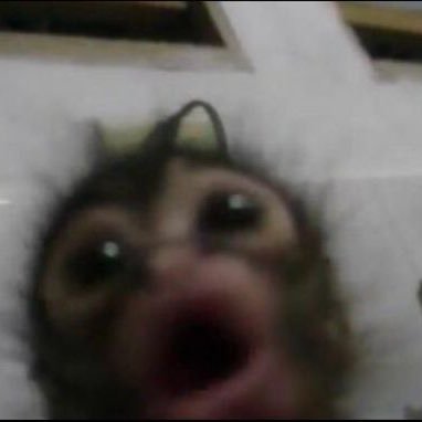 vamaryk_13's profile picture. 