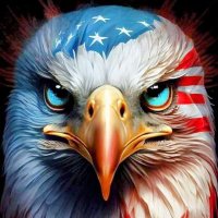 Maik Finz (@maikfinz5) Twitter profile photo