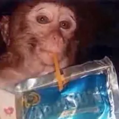 no54570's profile picture. I hate….