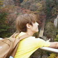 kuning ✨ (@gelbfee323) 's Twitter Profile Photo