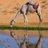 MHDDT_ALJML's profile image