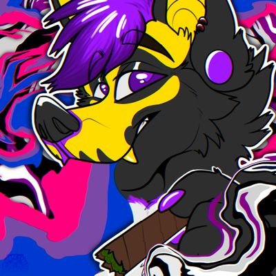 Kanahusky🐺🐾さんのプロフィール画像