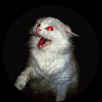 𝐜𝐫𝐢𝐦𝐬𝐨𝐧 ♱♡♱ (@cr1msonluvr) 's Twitter Profile