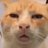 Hiyi481910's profile image