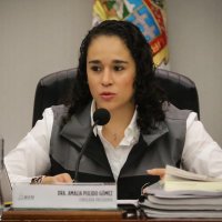 amalia pulido (@pulido_amalia) 's Twitter Profile Photo amalia pulido (@pulido_amalia) 's Twitter Profile Photo