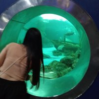 แววตา (@wwt417117472008) 's Twitter Profile Photo แววตา (@wwt417117472008) 's Twitter Profile Photo