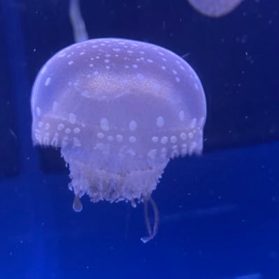 yukinochita_x30's profile picture. あらゆる初心者です🔰3L○でいろいろごちゃ混ぜ！