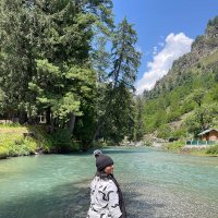 Nausheen (@lexicalmusings) 's Twitter Profile