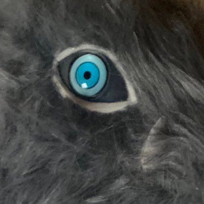 伊アオにうっかりハマってしまいました。 とっくに成人済みです。無言フォロー失礼します。最近iPad買ったのでお絵描き始めました。使い方全くわからん。 右も左もわからない初心者ですがよろしくお願いします。