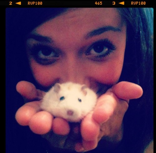 barbavicky's profile picture. 