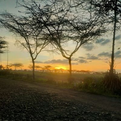 _mizzenmast's profile picture. Android Dev,
Network Engineer 
UI/UX 
IoT Dev