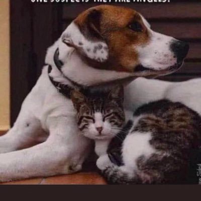 Ellieann_1's profile picture. God Bless You