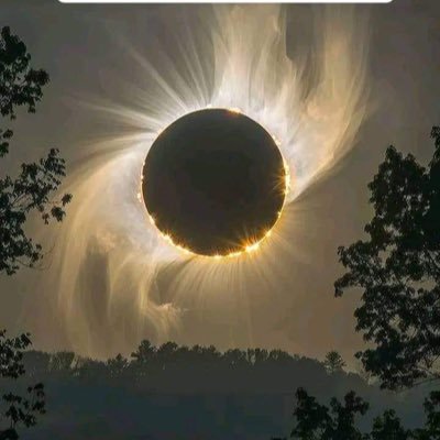 morais970383's profile picture. 