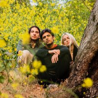 Peel Dream Magazine (@peeldreamzine) 's Twitter Profile