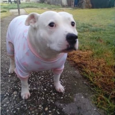 nothinaeiou's profile picture. 