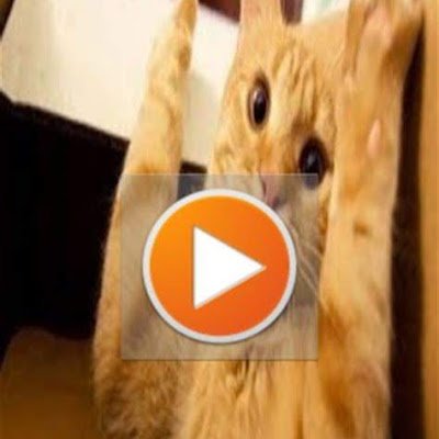 herdez_rog91593's profile picture. 