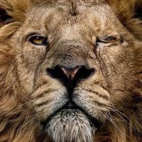 Selo-maye (@selo_maye) 's Twitter Profile