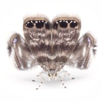 Ryo (@ryo___1357) Twitter profile photo