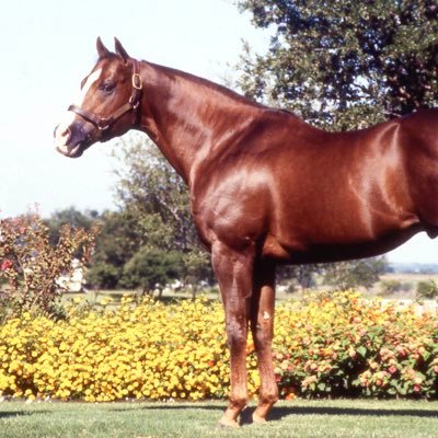 Scott77Poker's profile picture. 