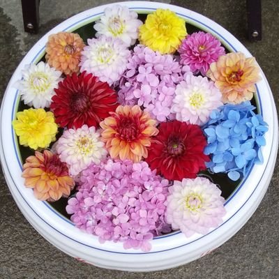 2355_nerude's profile picture. 犬飼貴丈さん、駒木根葵汰さん、千葉雄大さんが心の癒しです
  山下達郎さん、松重豊さんも好きです
  医療界の教育界にひっそり住んでいました   
   私の人生私らしく  ケ・セラ・セラ