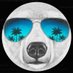 CandidObserver (@candido12804434) Twitter profile photo CandidObserver (@candido12804434) Twitter profile photo