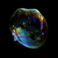 🌷a lonliboy🌷 (@chilltulpa) 's Twitter Profile Photo 🌷a lonliboy🌷 (@chilltulpa) 's Twitter Profile Photo