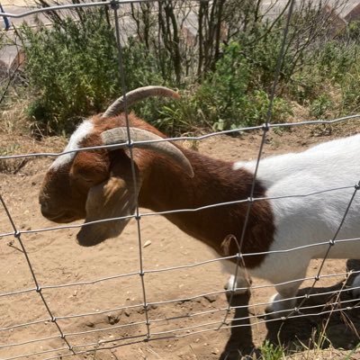 ajw456's profile picture. 