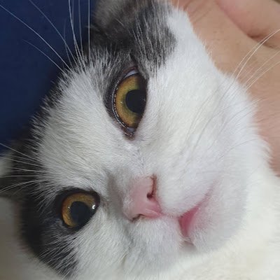 ba256611's profile picture.