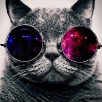 noahhhhhhhh (@noah204bc) 's Twitter Profile Photo noahhhhhhhh (@noah204bc) 's Twitter Profile Photo