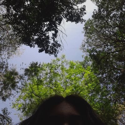 melicqt's profile picture. Holita