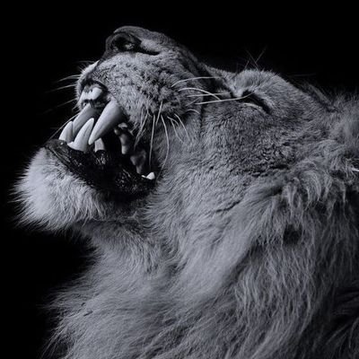 josekarari8's profile picture. Telecommunication engineer.