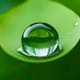 xywriji (@xywriji1) Twitter profile photo xywriji (@xywriji1) Twitter profile photo