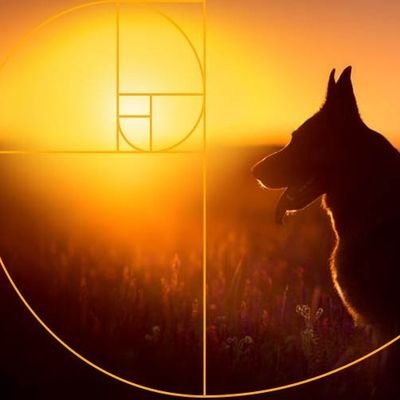 bpp8909's profile picture. 