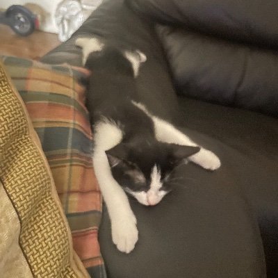 mbotia_1's profile picture. Ser i estar. Humanista.
Sóc taronja 💯🍊
@LAlqueriaVBC
@valenciabasket