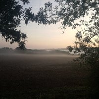 Keith Evans (@keithevans51) 's Twitter Profile